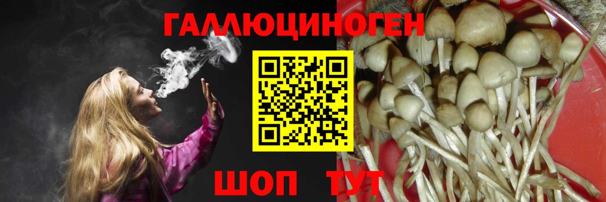 Псилоцибиновые грибы GOLDEN TEACHER  цена наркотик  Вход с VPN  Усолье-Сибирское  Псилоцибиновые грибы Psilocybine cubensis 